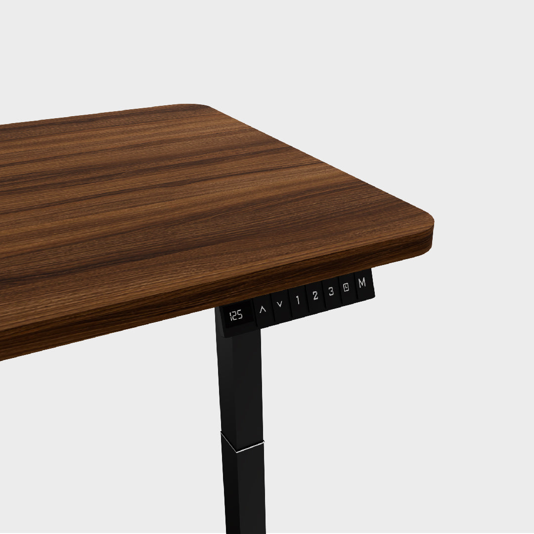 Elevate PRO+ Desk