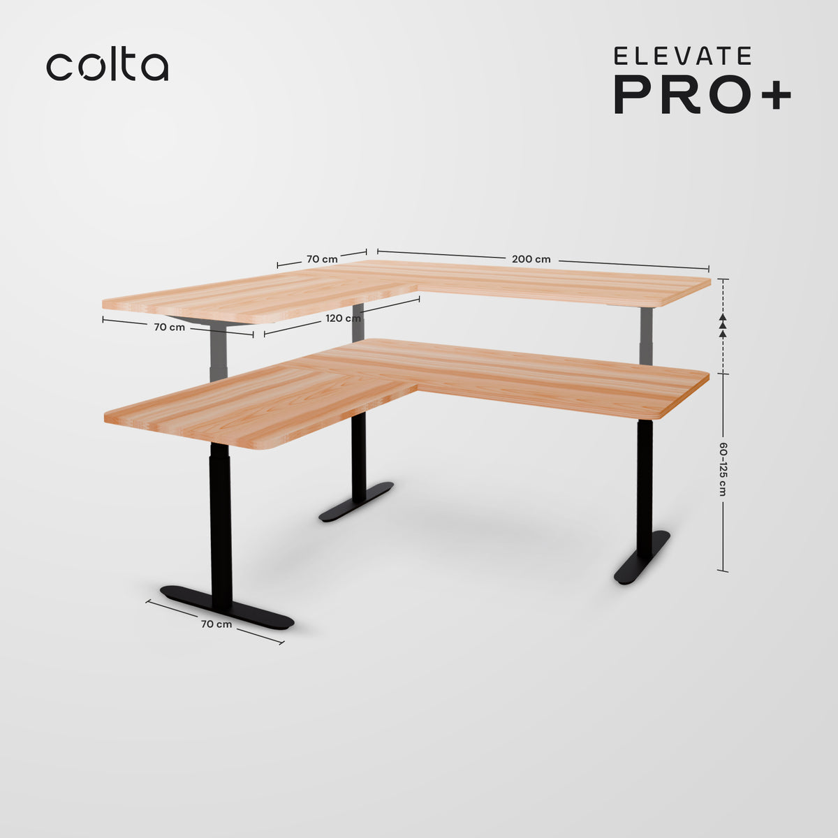 Elevate PRO+ L (ARC) Desk