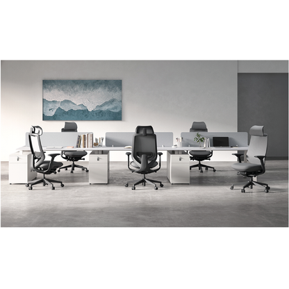 Terra Ergonomic Office Gaming Chair