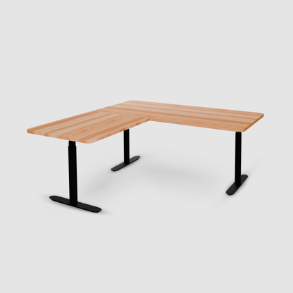 Elevate PRO+ L (ARC) Desk
