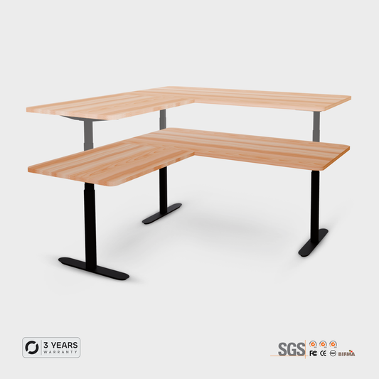 Elevate PRO+ L (ARC) Desk