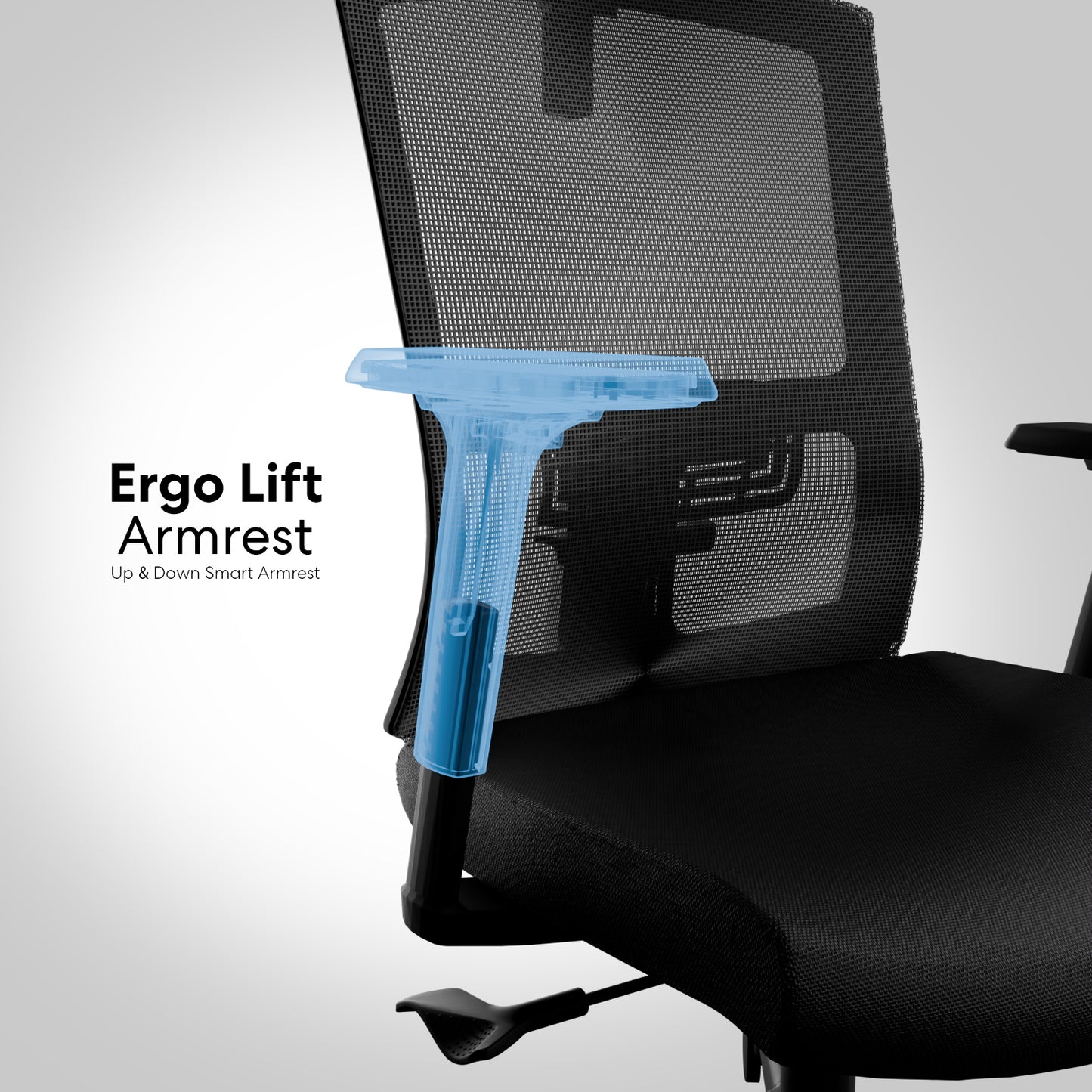 Notion Office Chair