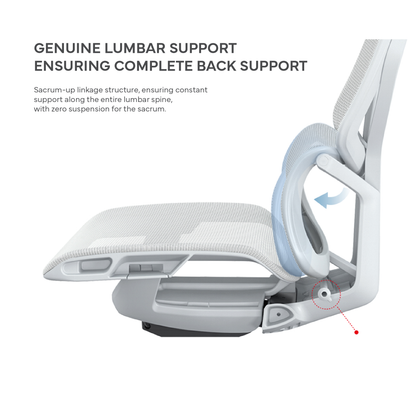 Nova PRIME Ergonomic Office Gaming Chair