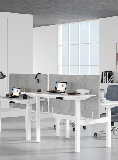 Dual Desk Divider G-11