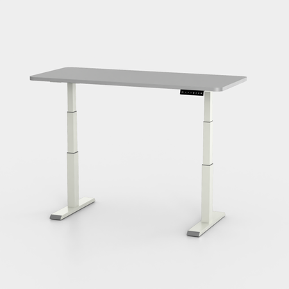 Elevate Pro Desk