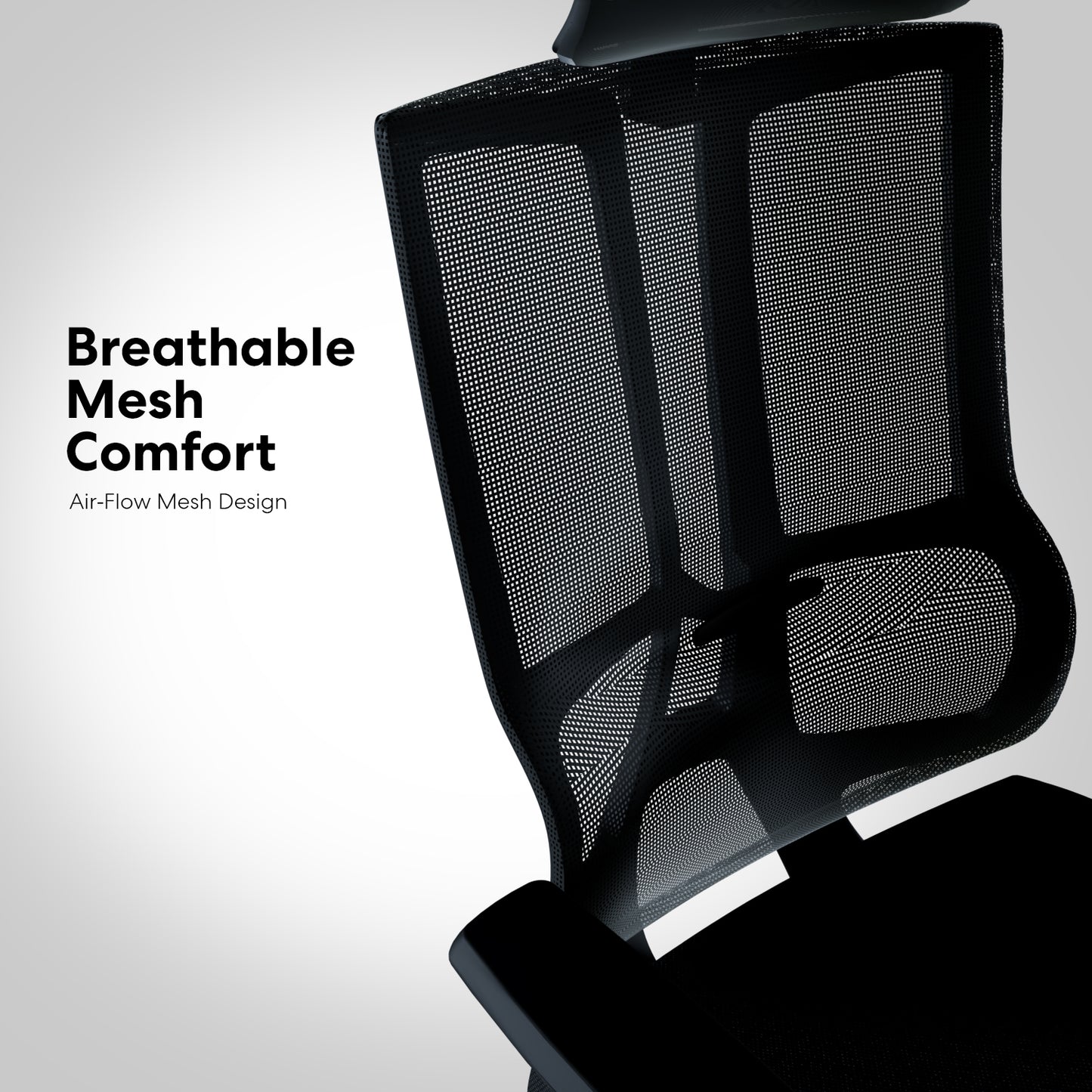 Titan Office Chair
