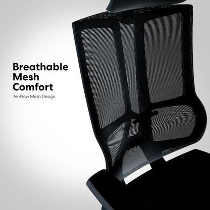 Titan Office Chair