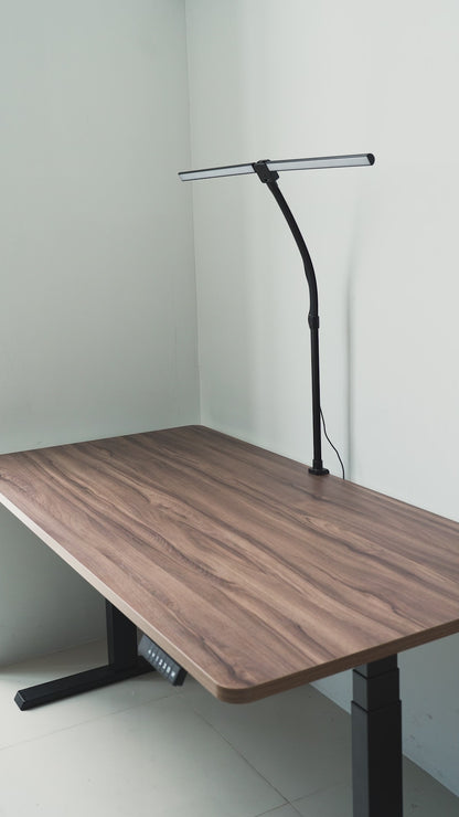 Elevate Pro Desk